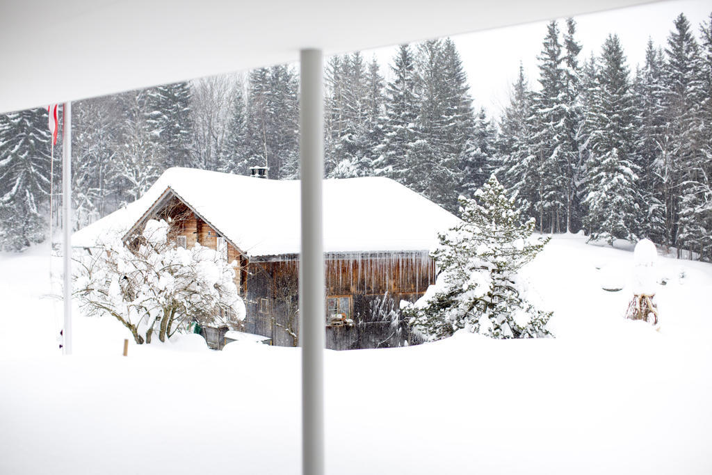 Chalet Bergoase Hasliberg Eksteriør billede
